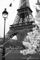 Эйфелева башня, фонарь в Париже