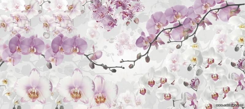 фотообои орхидеи коллаж панорама