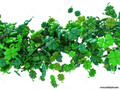 листья клевера 3d  фотообои