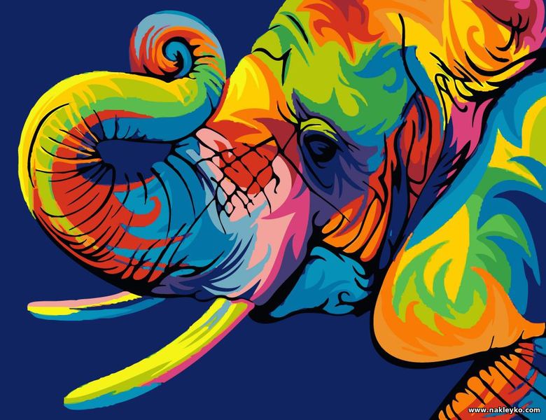 слон цветной на фотобоях